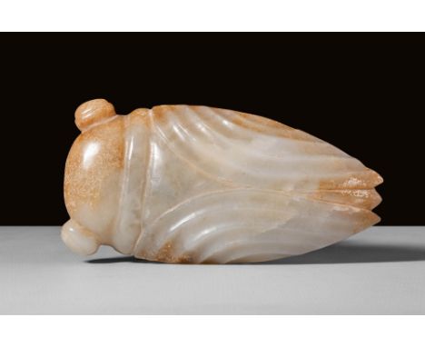 Ca. 20th century AD.A carved jade in the form of a cicada, symbolizing rebirth and spiritual enlightenment due to its life cy