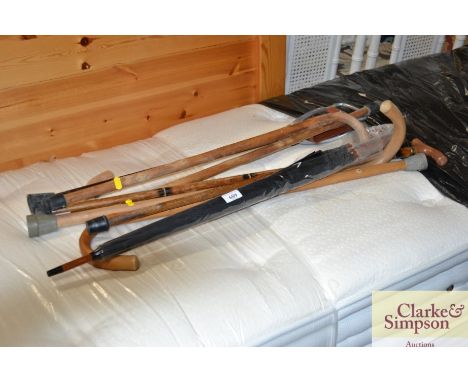 A collection of walking sticks, an umbrella and a shooting stick