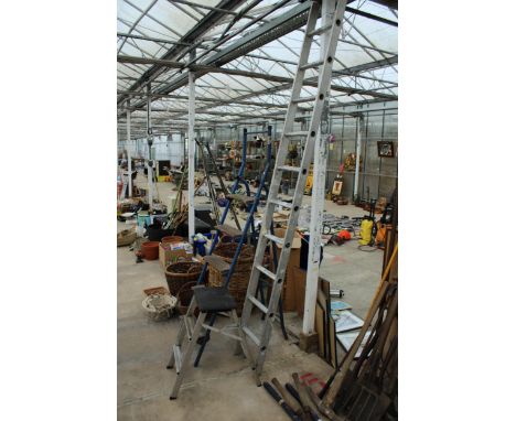 THREE VARIOUS LADDERS TO INCLUDE A FIVE RUNG STEP LADDER AND A TEN RUNG ALUMINIUM LADDER 