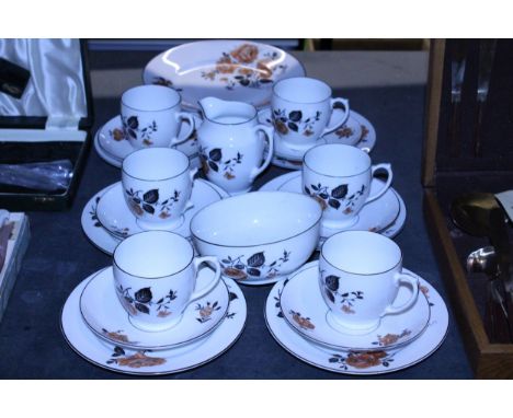 A VINTAGE CZECHOSLOVAKIAN TEA SET TO INCLUDE A CAKE PLATE, SUGAR BOWL, CREAM JUG, CUPS, SAUCERS AND SIDE PLATES