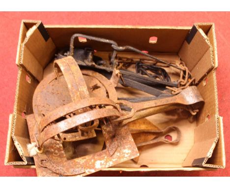 A box of assorted gin traps 