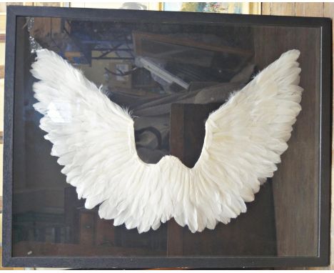 A framed panel depicting angel wings made from white owl feathers, framed and glazed, 70cm x 90cm approx, 