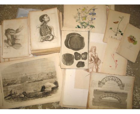 [PRINTS] coll'n of engr. plates, incl. NATURAL HISTORY, MEDICAL, PORTRAIT etc.