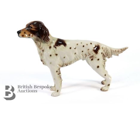 Goebel figurine of a Retriever, approx 26 cms, dappled liver and white, approx 4968, impressed mark CH 622.&nbsp;