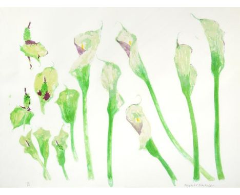 Dame Elizabeth Violet Blackadder DBE, RA, RSA (b.1931) Scottish ''Arum Lilies'' Signed in pencil and numbered 52/64 with the 