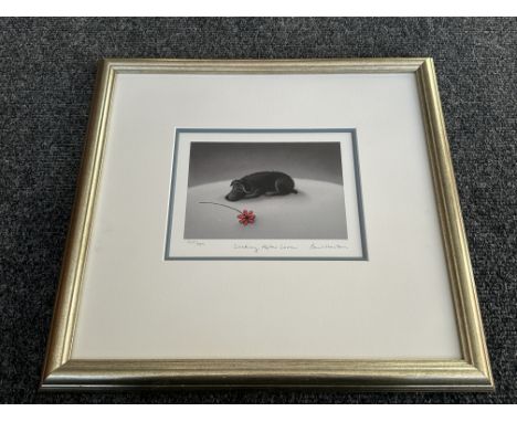 Paul Horton (b. 1958) - "Looking After Love" - Limited Edition Giclee Print on Paper - no 249/595 - With Certificate Of Authe