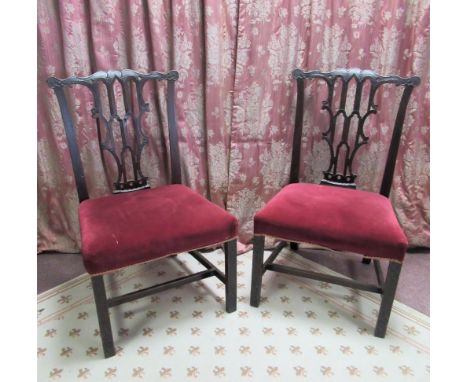 Pair of C19th Chippendale Revival side chairs, serpentine cresting rail with Gothic pierced splat and stuffed over seat on bl