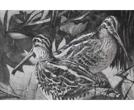 Peter Partington, contemporary, collection of nine unframed works including sea birds, wildfowl and others, four watercolours