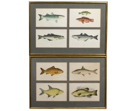 A SET OF EIGHT DECORATIVE PRINTS depicting various fish, each print 14cm x 23cm, the eight mounted in two frames (2)
