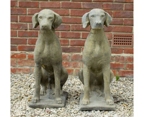 A PAIR OF COMPOSITE WEST COUNTRY STONE POINTER HUNTING DOGS each 72cm high and approximately 60 kg in weight