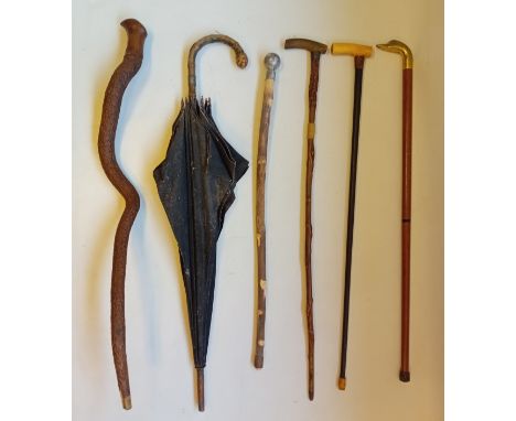 Collection of Vintage walking sticks, canes, staffs and carved handled umbrella.