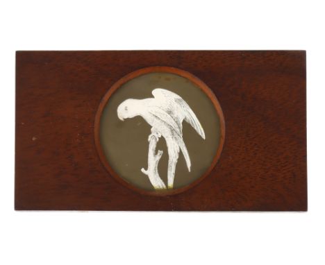 A Magic Lantern Polariscope Selenite Parrot Slide, English, c.1880, wooden frame with circular aperture, with delicate seleni