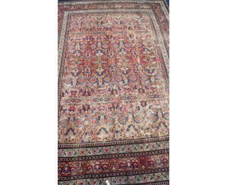 Iranian Dorveck multi bordered fringed carpet 310cm x 420cm