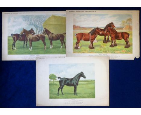 Trade issues, Live Stock Journal, 3 large colour supplement issues one dated 1898 and two dated 1899, 'Greeta', 'Hackney Mare