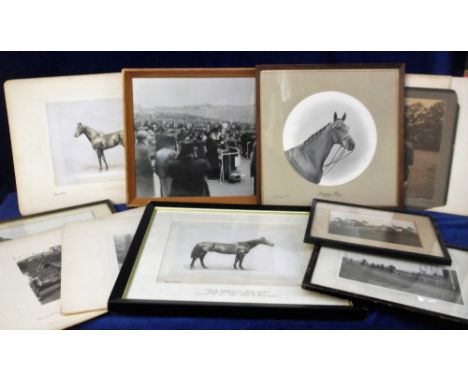 Horse Racing, 13 vintage horse racing related photographs (all mounted, 4 framed) to include Chief Gossip, Happy Boy, Can't G