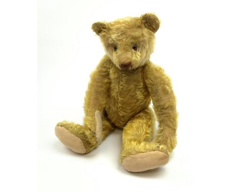 Early 20th century German teddy bear c1920, probably Steiff or Bing, with wood wool filled humped back golden mohair body, sw