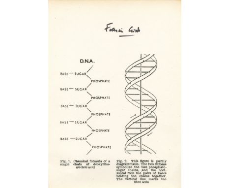 CRICK FRANCIS: (1916-2004) British Molecular Biologist and co-discoverer of the structure of the DNA molecule. Nobel Prize in