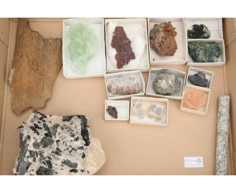A Collection of Minerals, A Collection of Minerals,including a light green Fluorite, china; fossilised wood, natural copper, 