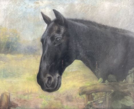 Maud D Heaps (British 1877-1964): Portrait of a Horse, pastel signed 47cm x 57cm 
