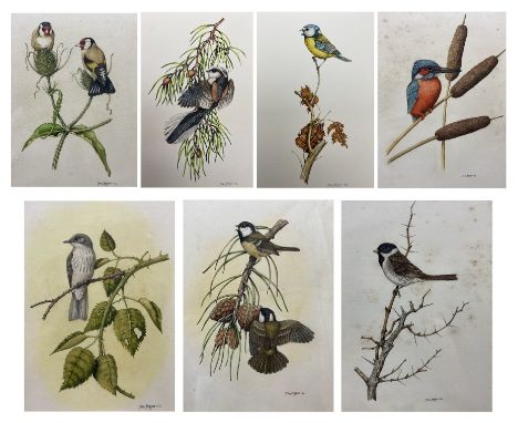 Miles Hopper (British 20th century): Bird Studies, set seven watercolour signed and dated 1974-1978, 30cm x 22cm (7) (two unf