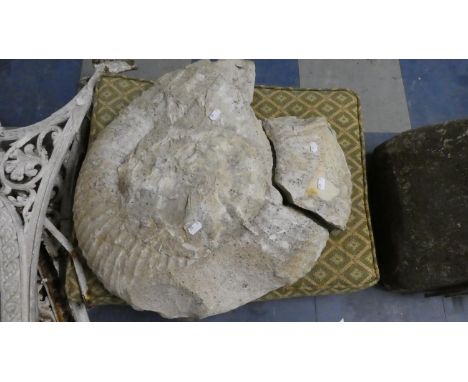 A Large Ammonite Fossil, 55cm Diameter, One Piece Broken and Some Losses 