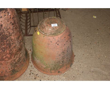 A Pembridge terracotta rhubarb forcer