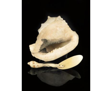 λ A South Seas conch shell, 25cm high, 21cm deep, together with a carved shell and marine ivory spoon, 26.3cm long. (2)