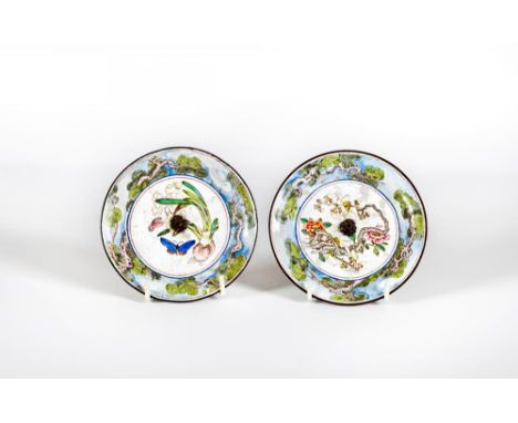 A PAIR OF CANTON ENAMEL SAUCERS of plain circular form, one centrally painted with a flowering bulb and moths, the other with