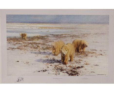 David Shepherd signed limited edition print 67 / 1500 Lone Wanderers of the Artic in original folder with certificate, 50 x 7