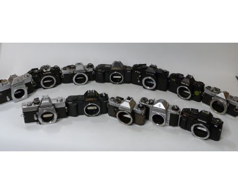 Twelve SLR camera bodies including Minolta SRT10, Chinon CE-5, Canon T70 and Olympus OM1