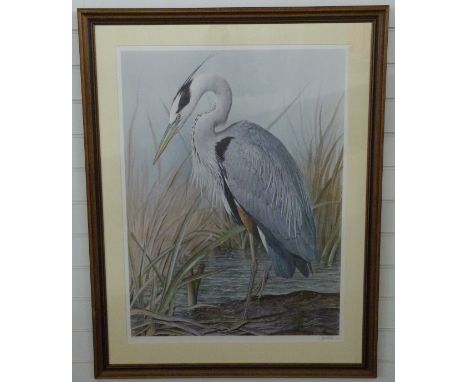Basil Ede signed limited edition (276/750) print Great Blue Heron, approximately 86 x 63cm