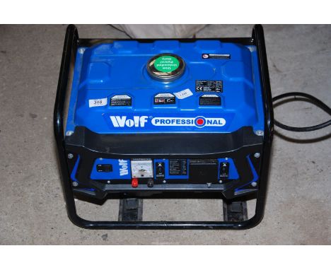 A Wolf Professional generator with petrol overhead valve engine and long-run tank, good compression. Appears little used.