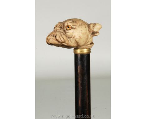 A novelty walking Stick, the handle depicting a true to life representation of a British Bulldog's head with bead eyes and pr