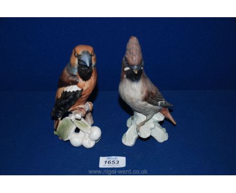 Two Goebel birds: Waxwing and Hawfinch
