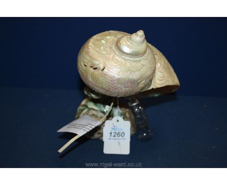 A mother of pearl carved Shell Lamp, originally from New Guinea 1965.