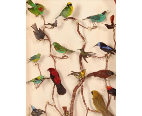 Taxidermy: A Gothic Revival Oak Framed Firescreen Diorama of Tropical Birds, circa 19th century, a superb diorama of various 