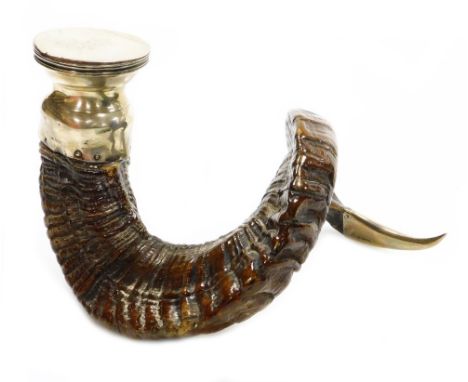 A George V ram's horn silver table snuff mull, the lid bearing crown and initials WE, with two interlinked crossed sword shie