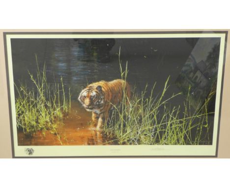 A signed David Shepherd limited edition print, Jungle Gentleman, 1429/2000, 49 x 76cms, framed