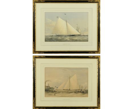 A pair of engravings, racing yachts "Maria" 1st Americas Cup and companion "Arrow".  Each 29 cm x 44 cm, framed. 
