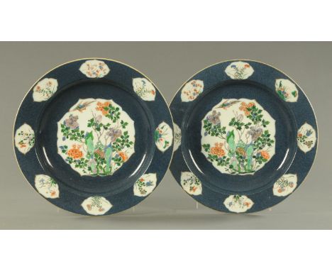 A pair of 19th century Kangxi style powder blue chargers, decorated with pheasant above peony, chrysanthemum and rockwork and