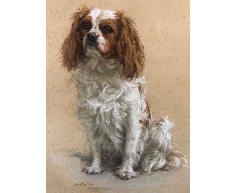 Pastel  portrait of  a Cavalier King Charles Spaniel, Cobbly of Corr Castle, copy of Pedigree form attached to rear, Framed a