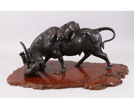 A LARGE AND HEAVY JAPANESE MEIJI PERIOD BRONZE OXEN &amp; TIGER GROUP,  the artist has captured in realistic detail the momen