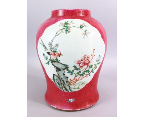 A 19TH / 20TH CENTURY CHINESE PINK GLAZE FAMILLE ROSE PORCELAIN JAR, with panel decoration depicting scenes of birds and flor