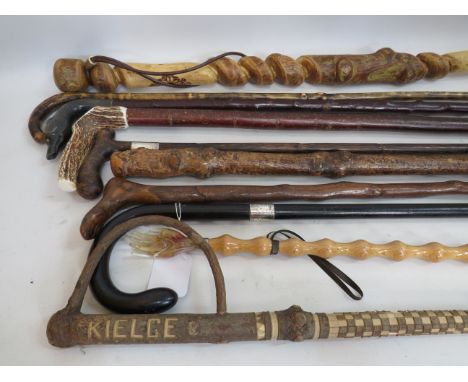 Mixed lot of Walking Sticks, One with silver collar .  All come with a wicker stick stand. See photos.