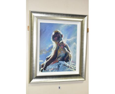 ROLF HARRIS (AUSTRALIAN 1930) 'BACKLIT BABOONS - GIBRALTAR' a limited edition print 32/75, signed with certificate, framed, a