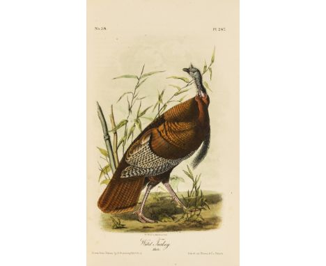 Audubon (John James) The Birds of America, 8 vol., half-titles, 500 hand-coloured lithograph plates, very occasional trimming