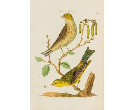 Birds.- [Bolton (James)] Harmonia Ruralis; or, An essay towards a Natural History of British Song Birds, 2 vol., second editi