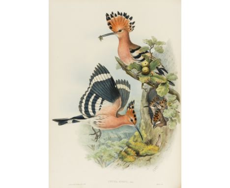 Gould (John) The Birds of Great Britain, 3 vol. (of 5), first edition, 191 hand-coloured lithograph plates, most heightened w