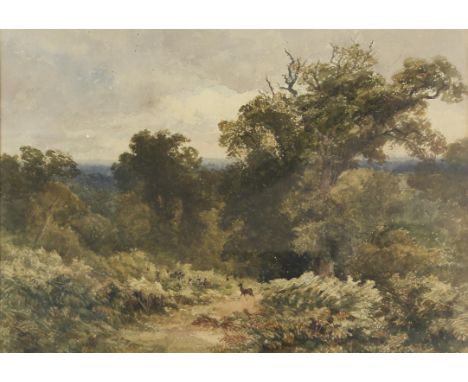 Peter De Wint (British, 1784-1849), 'Forest Glade', watercolour, unsigned, 31 x 45cm, framed and glazed, bearing Aitken Dott 