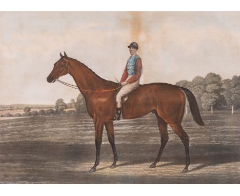 AFTER R. POWELL (7)Persimmonengravingpublished by R. Powell, London 1896image size 31 x 43.5cmtogether with six other horse r